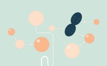 Ilustrasi grafik data penelitian tentang terapi untuk wanita pascamenopause.