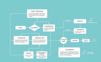 Diagram alur penelitian kanker kolorektal yang menunjukkan kolibaktin dan pengaruhnya pada pertumbuhan sel.