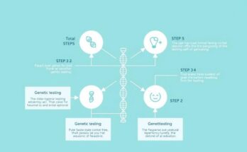 Diagram showing the process of genetic testing for Lynch syndrome in a research setting.